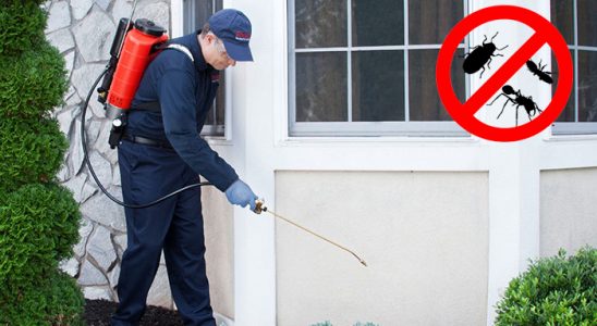 Hatundere Dezenfeksiyon böcek ilaçlama ve haşere kontrolü — ilaclama-tr.com